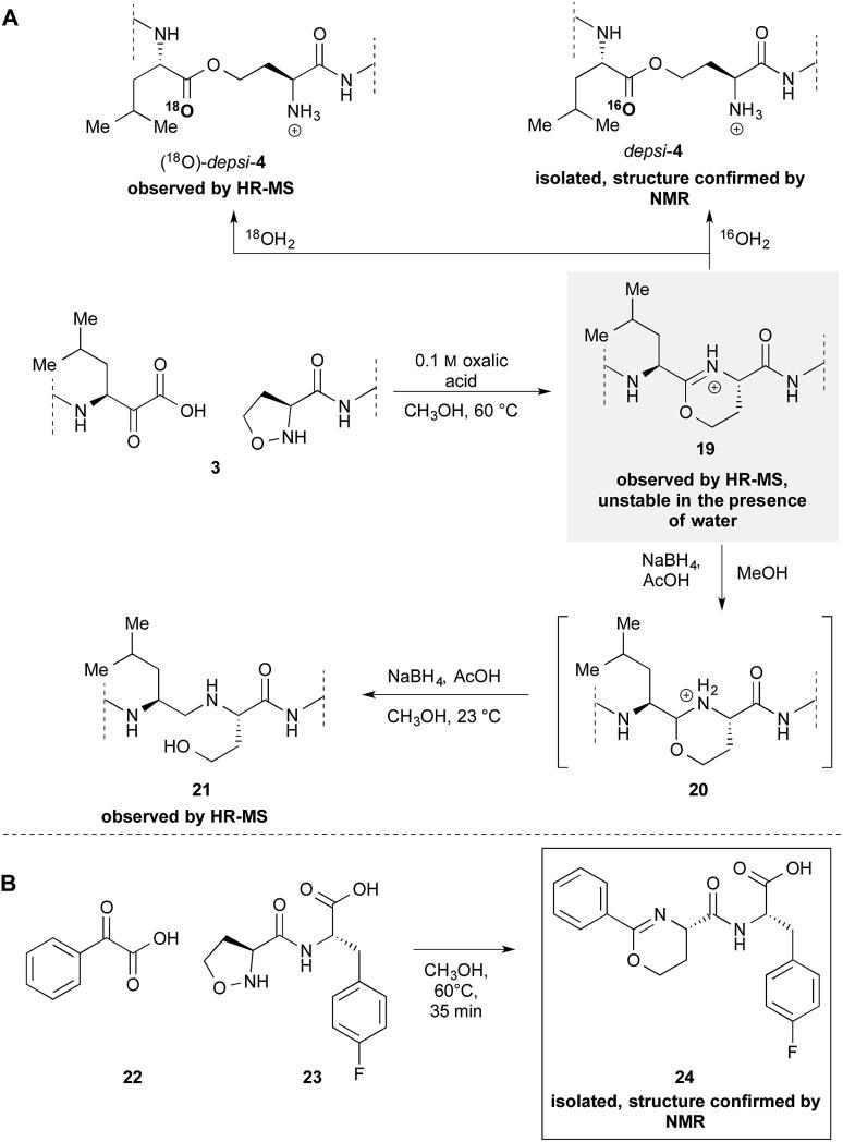 https://cdn.ncbi.nlm.nih.gov/pmc/blobs/dcda/5664356/fce7a8e8d483/c5sc01774b-s4.jpg