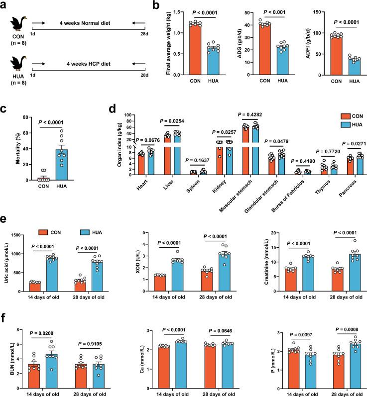 https://cdn.ncbi.nlm.nih.gov/pmc/blobs/dcdc/11542919/944f5adfa763/elife-100068-fig1.jpg