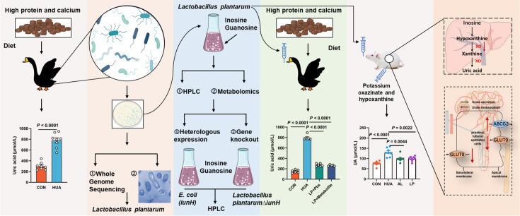 https://cdn.ncbi.nlm.nih.gov/pmc/blobs/dcdc/11542919/ed3b1655b87c/elife-100068-fig11.jpg