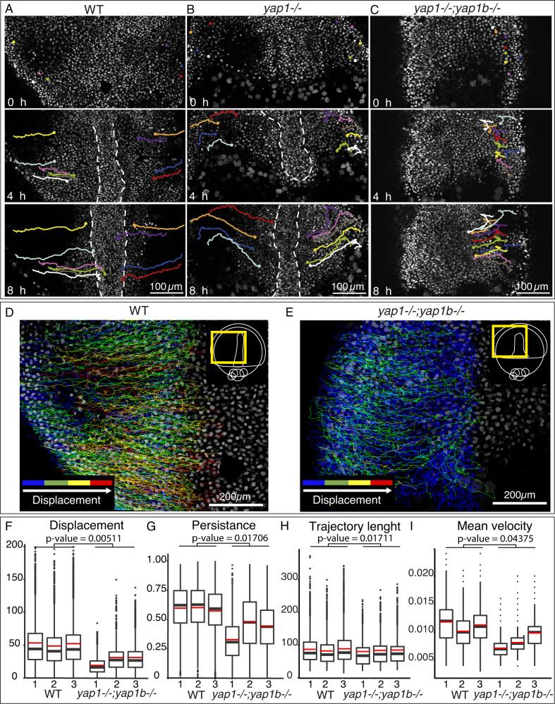 https://cdn.ncbi.nlm.nih.gov/pmc/blobs/dcde/10188487/9f05e99134e5/41467_2023_38482_Fig2_HTML.jpg
