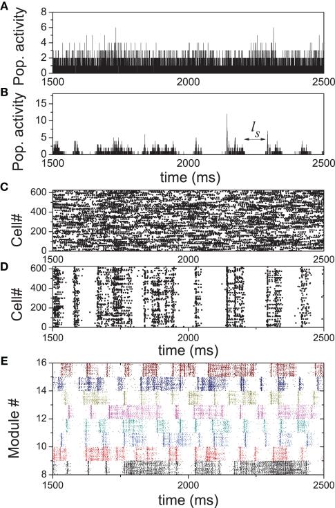 https://cdn.ncbi.nlm.nih.gov/pmc/blobs/dcde/3151620/7a71c1cca599/fncom-05-00030-g003.jpg