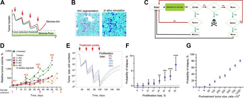 https://cdn.ncbi.nlm.nih.gov/pmc/blobs/dcdf/10646478/dd80d4283359/3681fig3.jpg