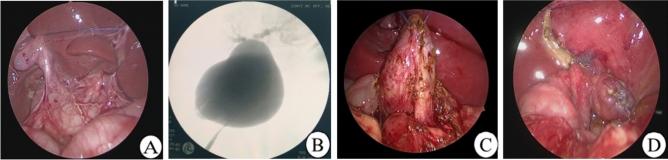 https://cdn.ncbi.nlm.nih.gov/pmc/blobs/dce0/12204871/1dda299dec34/11701_2025_2487_Fig1_HTML.jpg