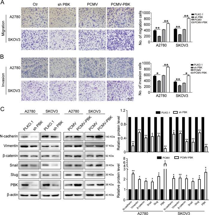 https://cdn.ncbi.nlm.nih.gov/pmc/blobs/dce1/6379381/e9e6e8493347/41419_2019_1415_Fig3_HTML.jpg