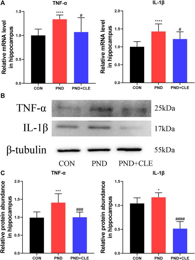 https://cdn.ncbi.nlm.nih.gov/pmc/blobs/dce1/8419266/43678788c90a/fphar-12-738590-g003.jpg