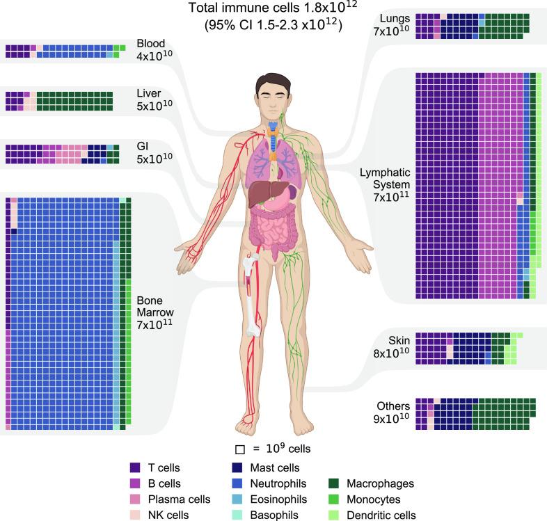 https://cdn.ncbi.nlm.nih.gov/pmc/blobs/dce6/10623016/45a7c62c35c8/pnas.2308511120fig02.jpg