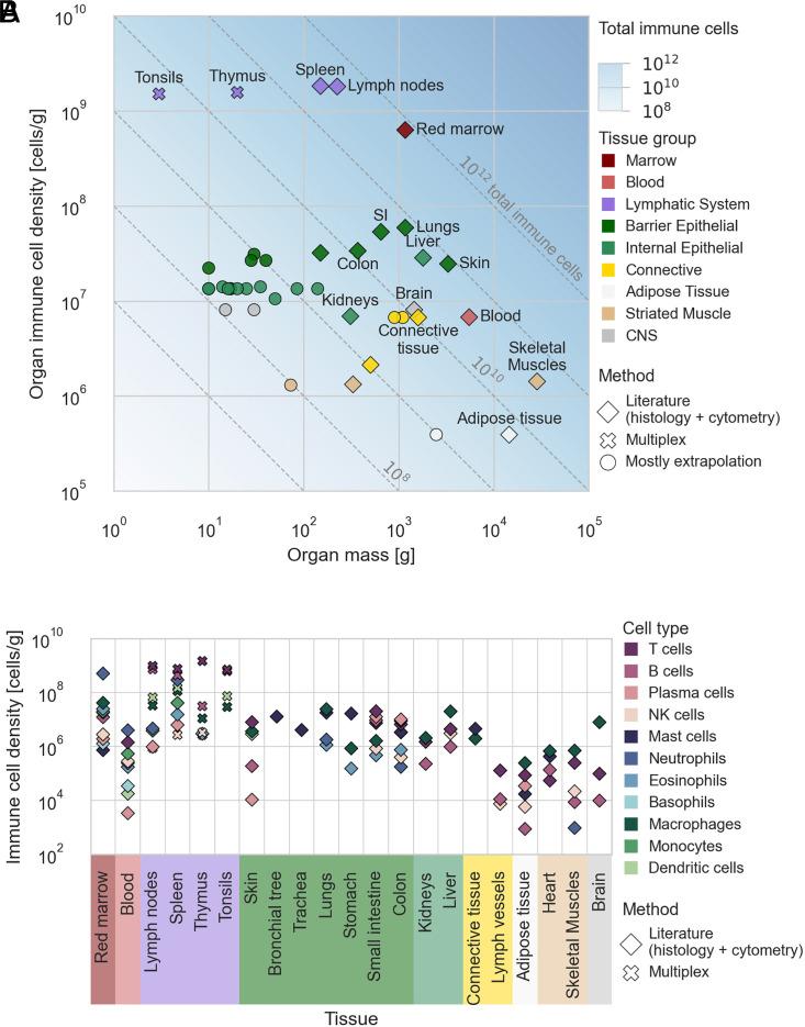 https://cdn.ncbi.nlm.nih.gov/pmc/blobs/dce6/10623016/7f13cf904c6a/pnas.2308511120fig01.jpg