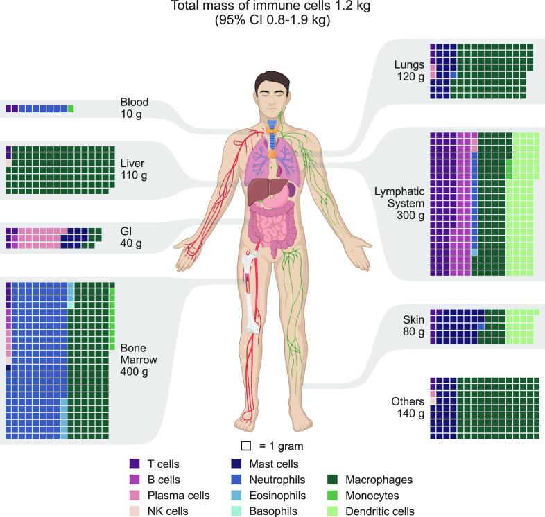 https://cdn.ncbi.nlm.nih.gov/pmc/blobs/dce6/10623016/c7d2905c8657/pnas.2308511120fig04.jpg