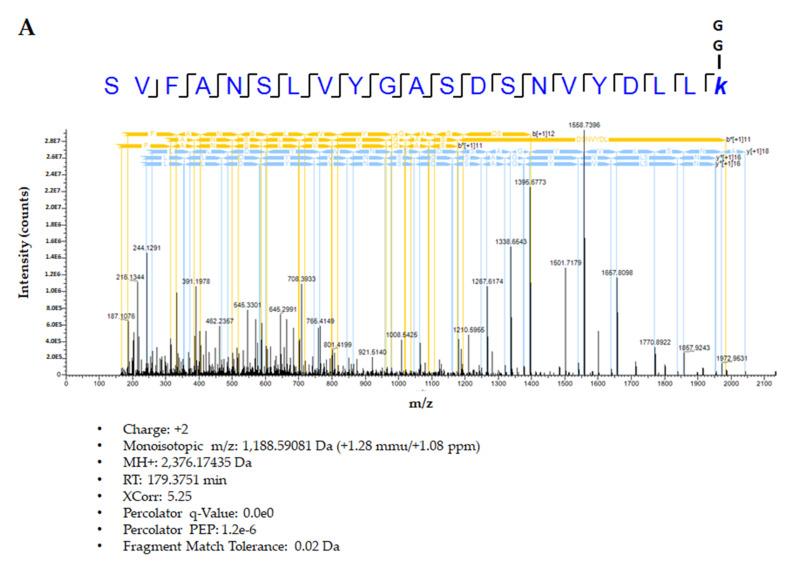 https://cdn.ncbi.nlm.nih.gov/pmc/blobs/dce6/8230561/0d6d534d1a72/ijms-22-06268-g005a.jpg