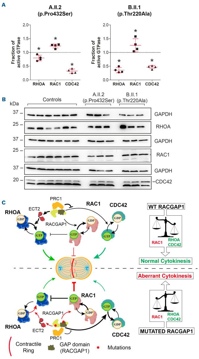 https://cdn.ncbi.nlm.nih.gov/pmc/blobs/dce6/9890003/f66c50c8f643/108581.fig3.jpg