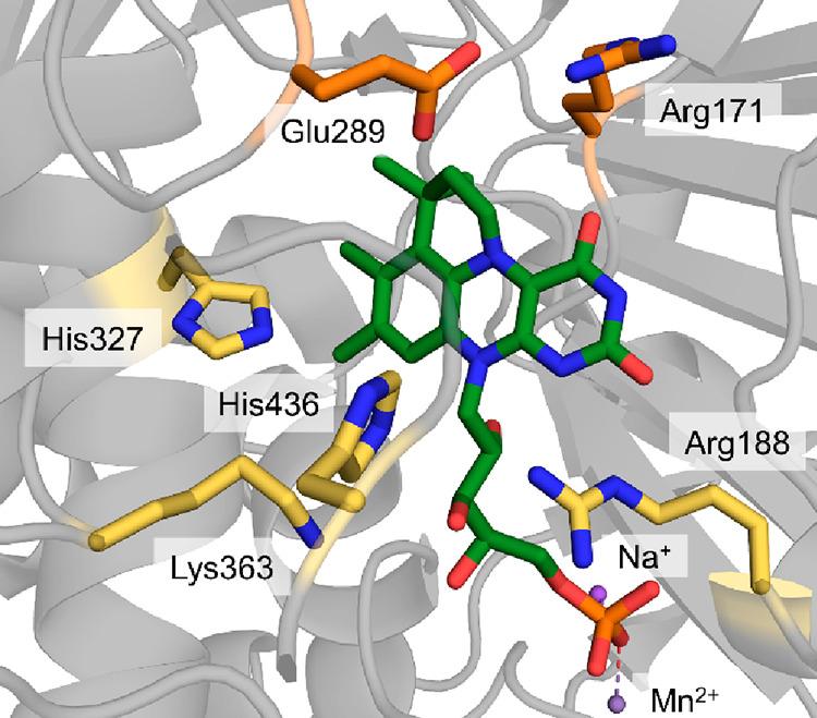 https://cdn.ncbi.nlm.nih.gov/pmc/blobs/dce9/10176493/1a1105f101d5/cr2c00581_0012.jpg