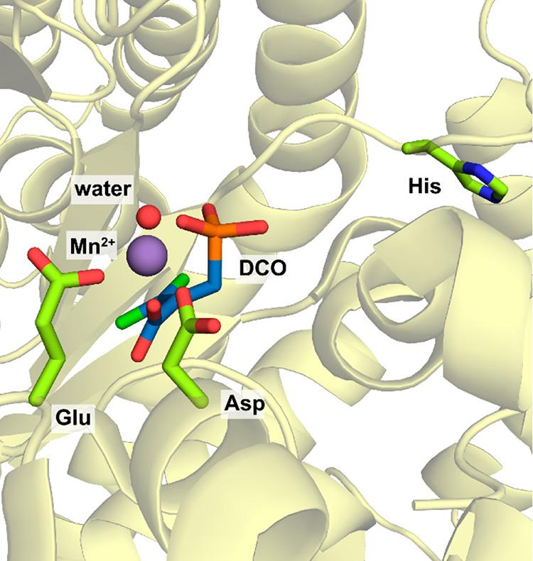 https://cdn.ncbi.nlm.nih.gov/pmc/blobs/dce9/10176493/23d32749a7ec/cr2c00581_0002.jpg