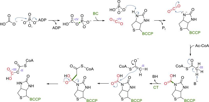 https://cdn.ncbi.nlm.nih.gov/pmc/blobs/dce9/10176493/47a01178ad3b/cr2c00581_0026.jpg