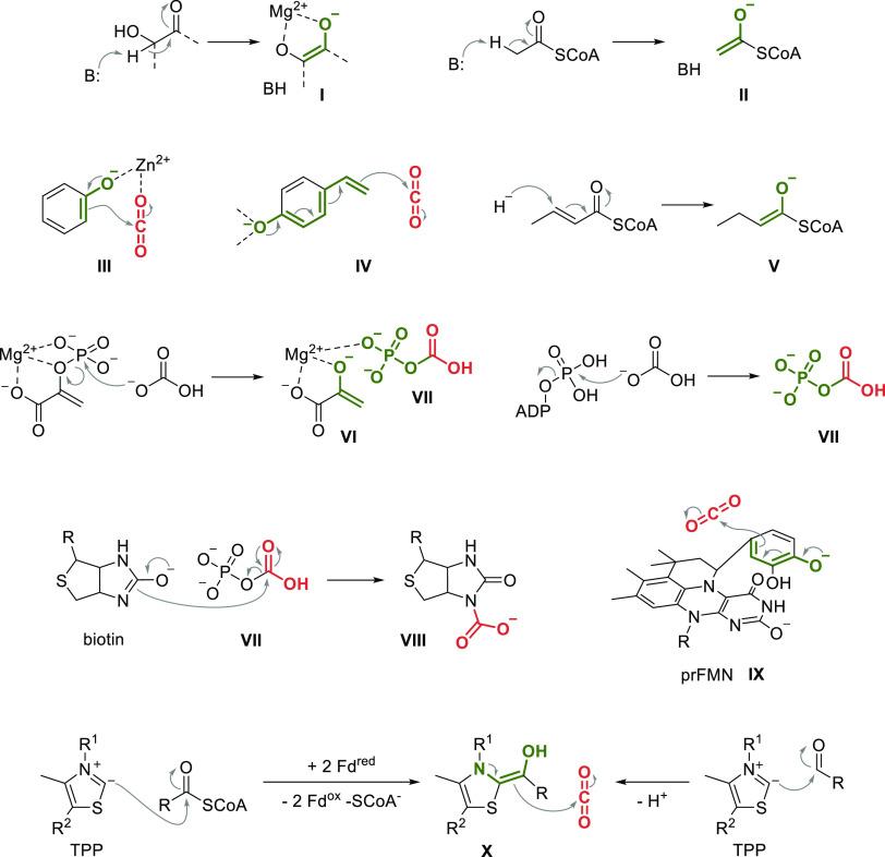 https://cdn.ncbi.nlm.nih.gov/pmc/blobs/dce9/10176493/d71b1a9b835e/cr2c00581_0022.jpg