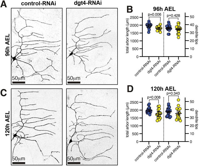 https://cdn.ncbi.nlm.nih.gov/pmc/blobs/dcea/11128279/8f1e52917b49/joces-137-261534-g5.jpg