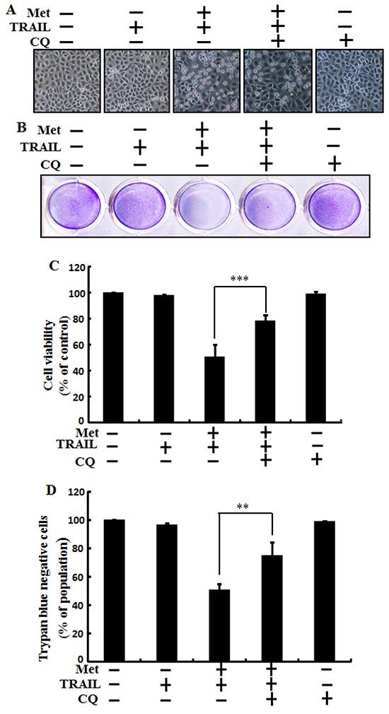 https://cdn.ncbi.nlm.nih.gov/pmc/blobs/dcea/5029640/9da8c4e983b2/oncotarget-07-23468-g003.jpg