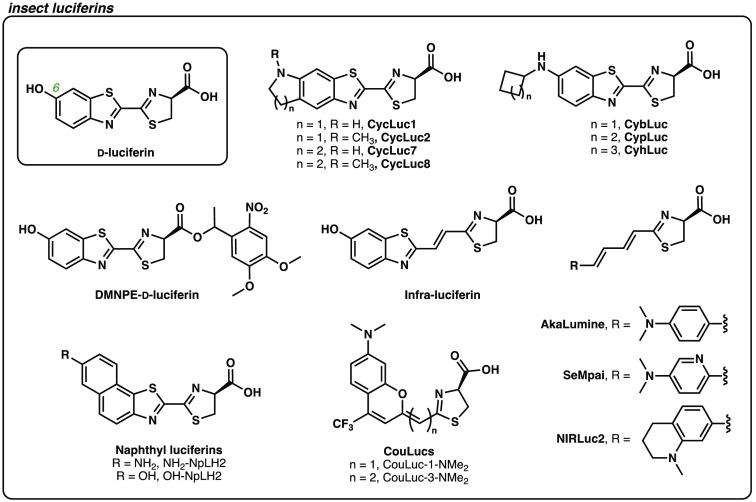 https://cdn.ncbi.nlm.nih.gov/pmc/blobs/dceb/10883388/5c1976de8c87/NPh-011-024204-g002.jpg