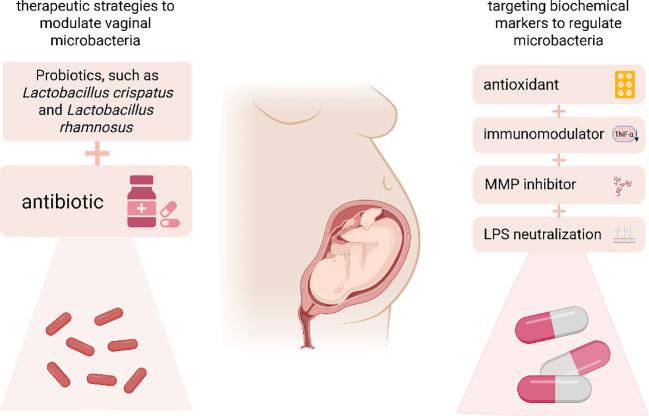https://cdn.ncbi.nlm.nih.gov/pmc/blobs/dceb/12391055/a7c147a921fb/fimmu-16-1642942-g004.jpg