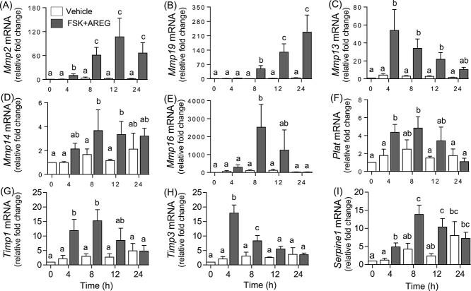 https://cdn.ncbi.nlm.nih.gov/pmc/blobs/dced/11473928/b70db32310fb/ioae108f4.jpg