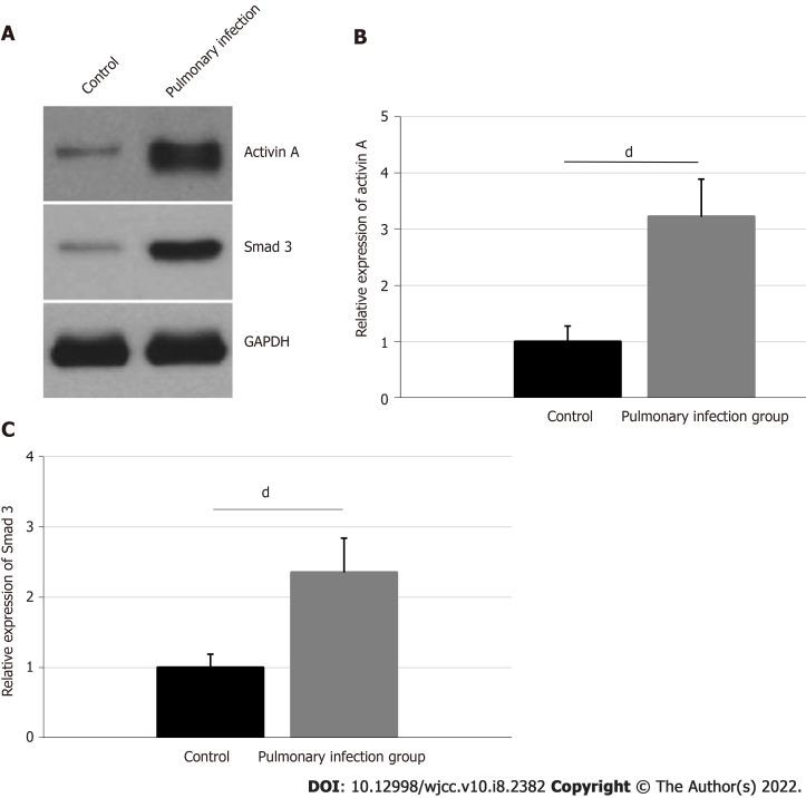 https://cdn.ncbi.nlm.nih.gov/pmc/blobs/dced/8968607/b37079f065d5/WJCC-10-2382-g002.jpg