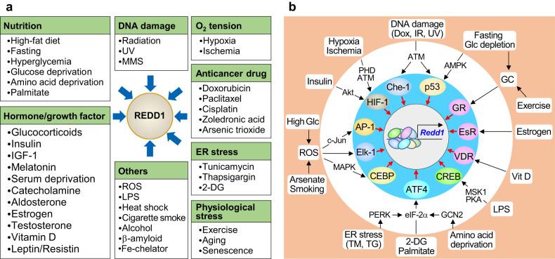 https://cdn.ncbi.nlm.nih.gov/pmc/blobs/dcf2/10545776/4f338cd79b3c/12276_2023_1056_Fig1_HTML.jpg