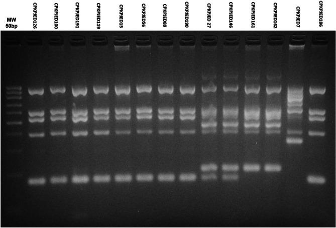 https://cdn.ncbi.nlm.nih.gov/pmc/blobs/dcf6/12033266/446185eee26d/41598_2025_99308_Fig4_HTML.jpg