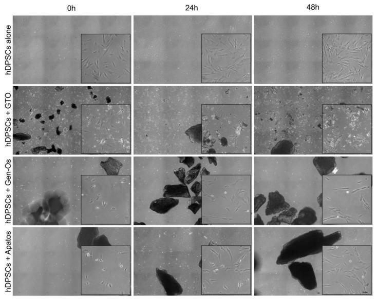 https://cdn.ncbi.nlm.nih.gov/pmc/blobs/dcf8/9182880/46c7756eb7a9/polymers-14-02223-g001.jpg