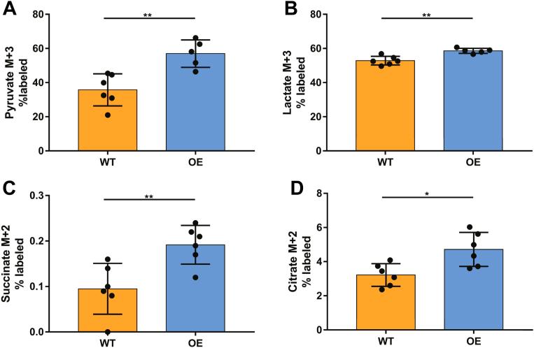 https://cdn.ncbi.nlm.nih.gov/pmc/blobs/dcf8/9996370/ddd95bd70fae/gr12.jpg