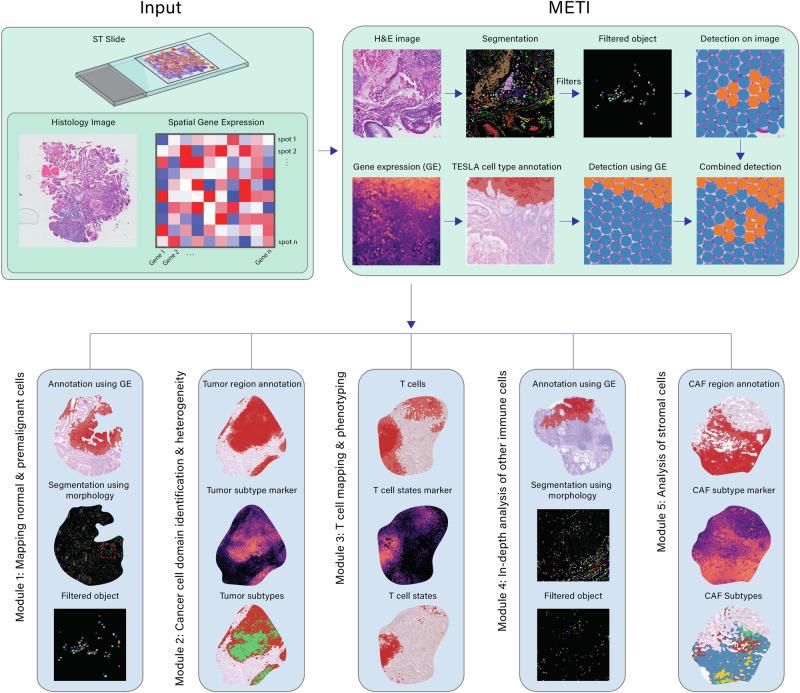 https://cdn.ncbi.nlm.nih.gov/pmc/blobs/dcfb/11344794/53391a23b8a6/41467_2024_51708_Fig1_HTML.jpg