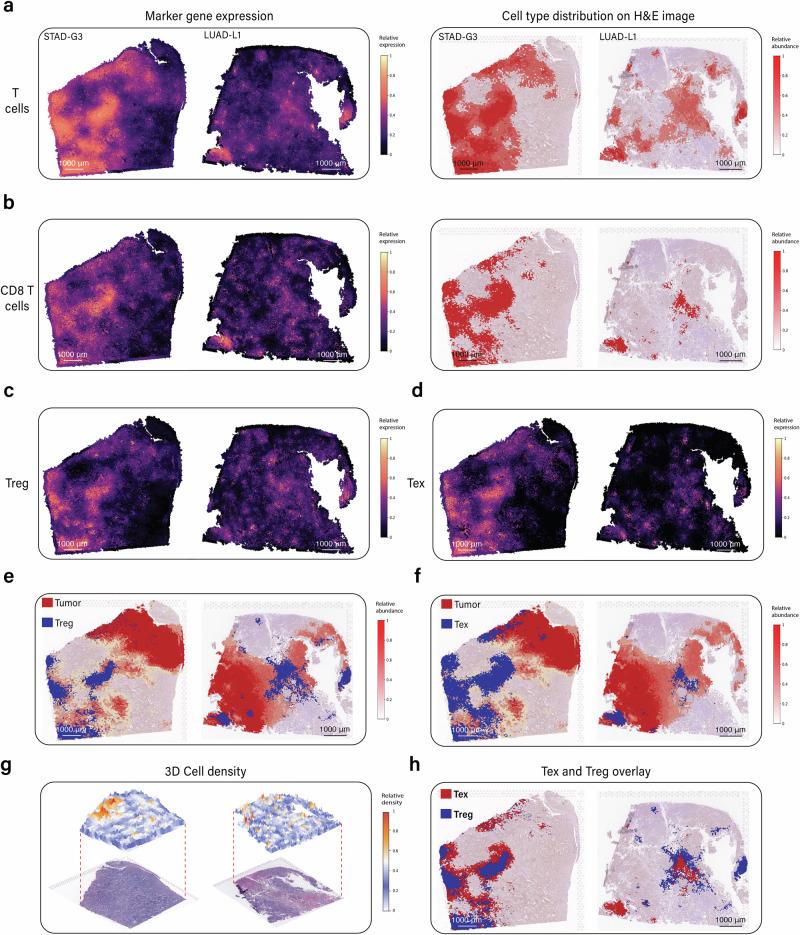 https://cdn.ncbi.nlm.nih.gov/pmc/blobs/dcfb/11344794/741c73fe41ed/41467_2024_51708_Fig3_HTML.jpg