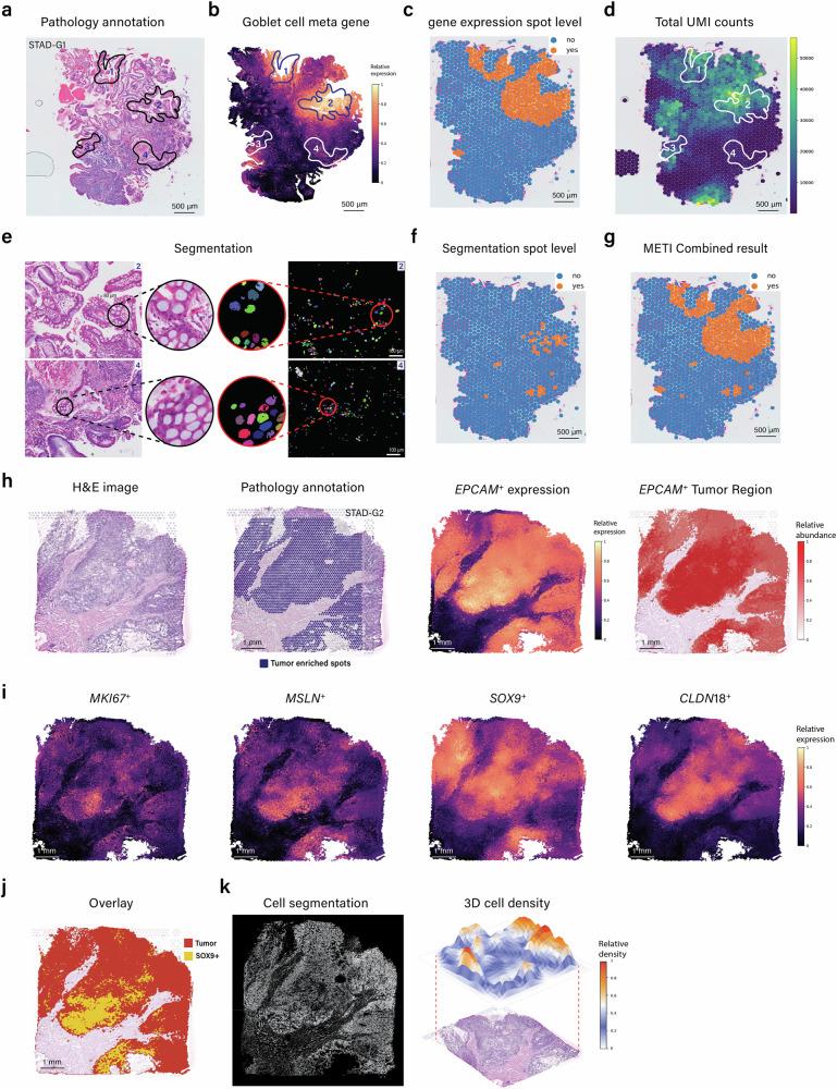 https://cdn.ncbi.nlm.nih.gov/pmc/blobs/dcfb/11344794/e06c9241f3b2/41467_2024_51708_Fig2_HTML.jpg
