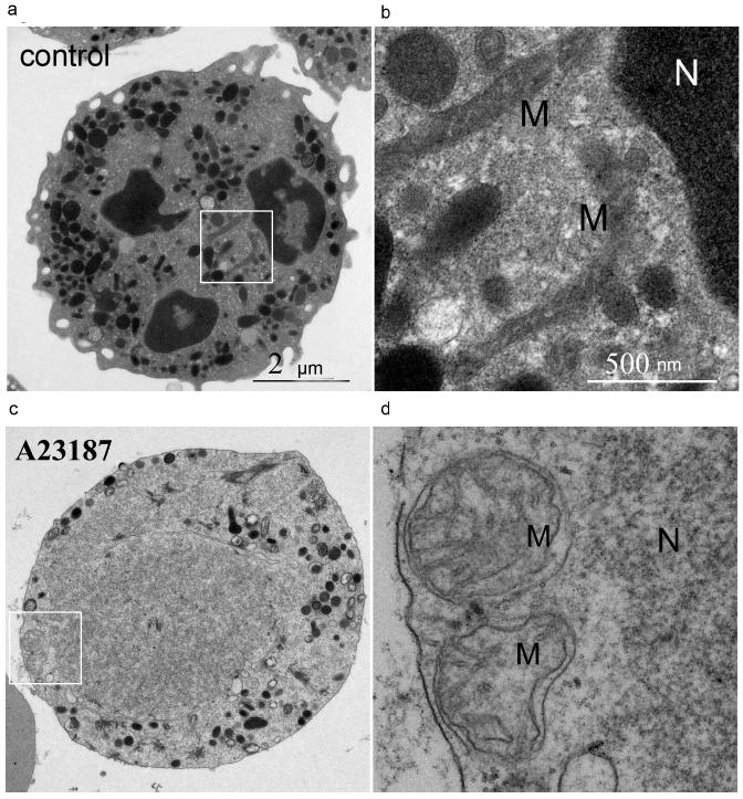 https://cdn.ncbi.nlm.nih.gov/pmc/blobs/dcfb/7590568/647e99968d9e/10541_2020_2072_Fig1_HTML.jpg