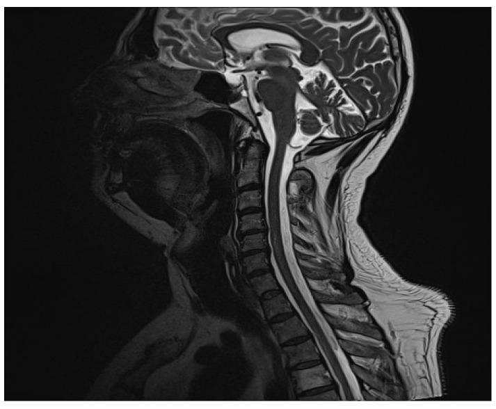 https://cdn.ncbi.nlm.nih.gov/pmc/blobs/dcfc/11202767/a6217520a2a8/clinpract-14-00085-g001.jpg