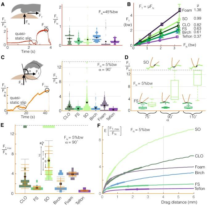 https://cdn.ncbi.nlm.nih.gov/pmc/blobs/dcfc/6684272/617699c98d26/elife-46415-fig4.jpg