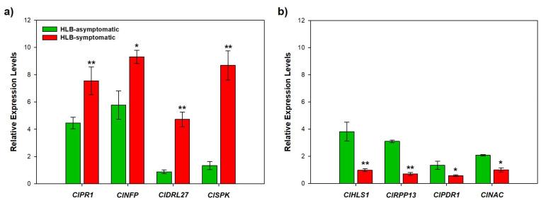 https://cdn.ncbi.nlm.nih.gov/pmc/blobs/dcfd/10144405/9cf00faf6e64/ijms-24-07497-g006.jpg