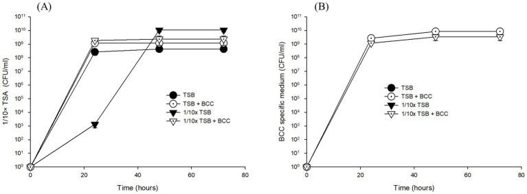 https://cdn.ncbi.nlm.nih.gov/pmc/blobs/dcfe/12382351/48c6358cb0b7/fmicb-16-1645324-g002.jpg