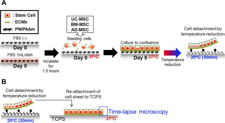 https://cdn.ncbi.nlm.nih.gov/pmc/blobs/dcff/6517796/2fd3fb54aa19/gr1.jpg