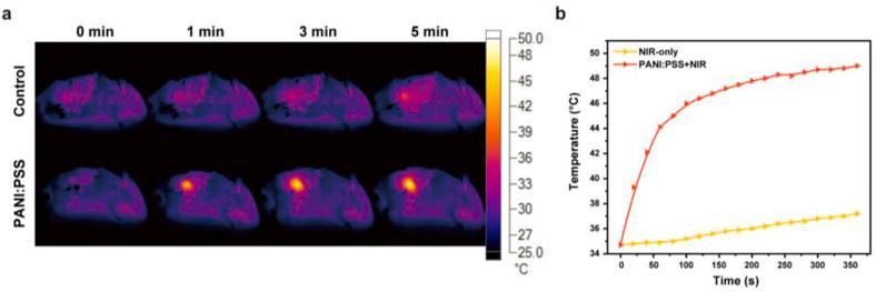 https://cdn.ncbi.nlm.nih.gov/pmc/blobs/dd02/8166762/471be9eeddac/gr5.jpg