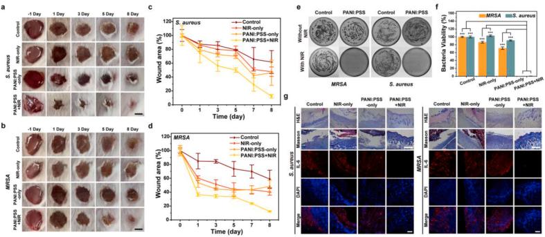 https://cdn.ncbi.nlm.nih.gov/pmc/blobs/dd02/8166762/59427b19363c/gr6.jpg