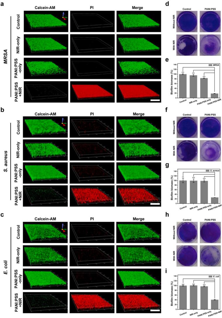 https://cdn.ncbi.nlm.nih.gov/pmc/blobs/dd02/8166762/9dd3c394e2fa/gr4.jpg