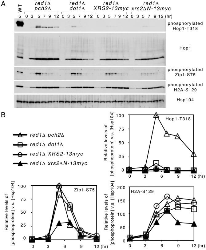 https://cdn.ncbi.nlm.nih.gov/pmc/blobs/dd06/3897485/b4b8af104f78/pone.0085687.g003.jpg