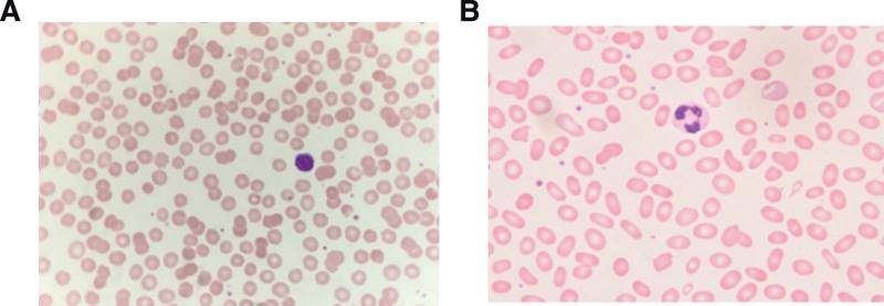 https://cdn.ncbi.nlm.nih.gov/pmc/blobs/dd06/9875991/4b892c3d01f8/medi-102-e32708-g001.jpg