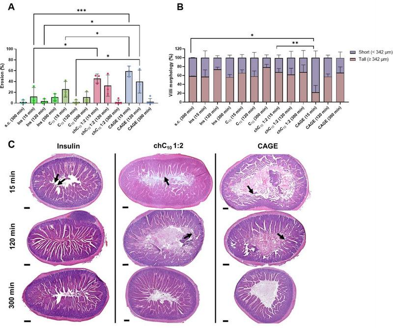 https://cdn.ncbi.nlm.nih.gov/pmc/blobs/dd0b/12333474/7f0189c22c87/ADHM-14-0-g004.jpg