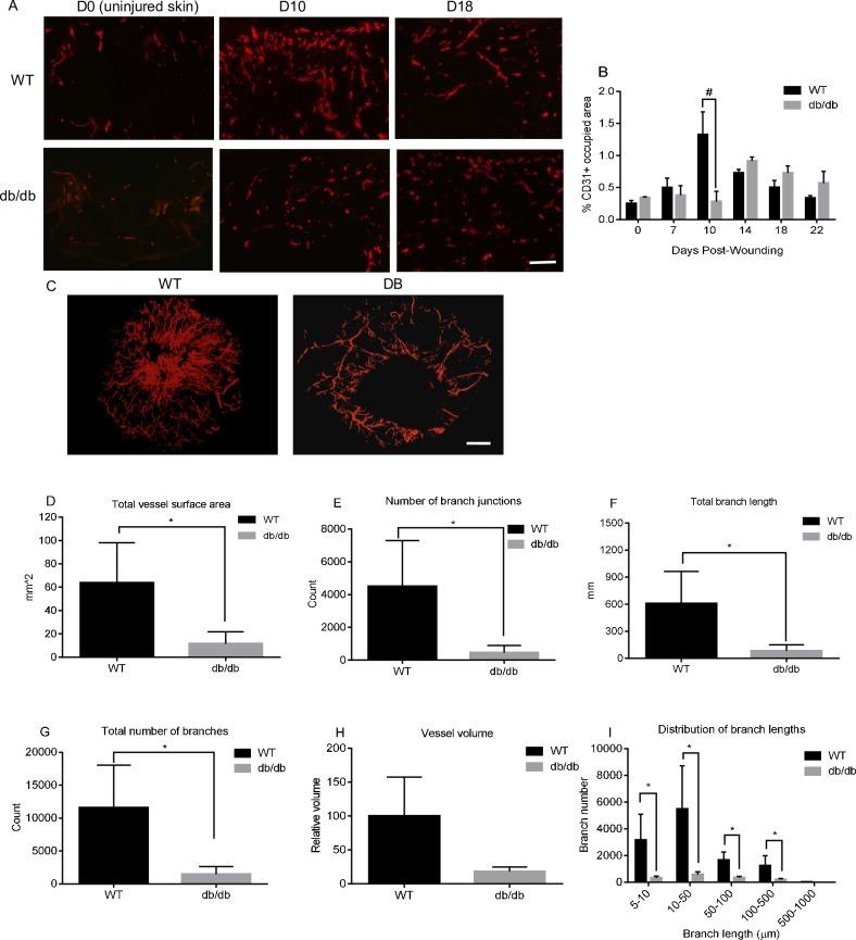 https://cdn.ncbi.nlm.nih.gov/pmc/blobs/dd0d/7179900/16c6bc513435/pone.0231962.g001.jpg