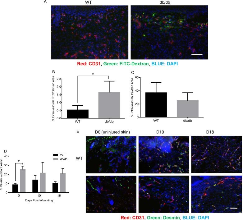https://cdn.ncbi.nlm.nih.gov/pmc/blobs/dd0d/7179900/5ab93ea53807/pone.0231962.g002.jpg