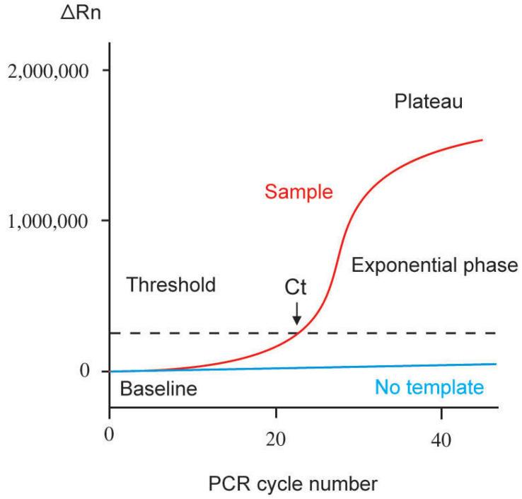 https://cdn.ncbi.nlm.nih.gov/pmc/blobs/dd0d/9778061/dc5edbafaab6/genes-13-02387-g001.jpg