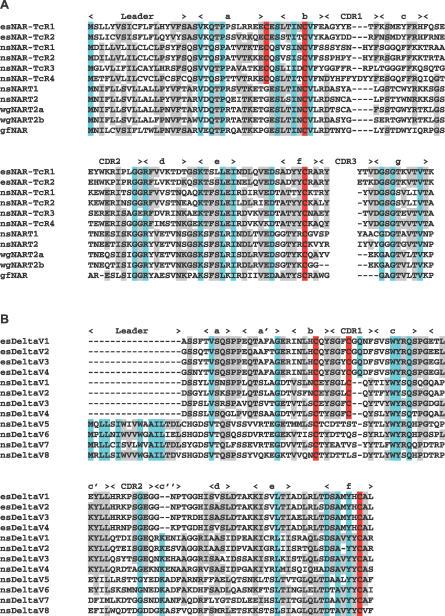 https://cdn.ncbi.nlm.nih.gov/pmc/blobs/dd10/1852145/6efffd2d9bea/pbio.0050101.g003.jpg