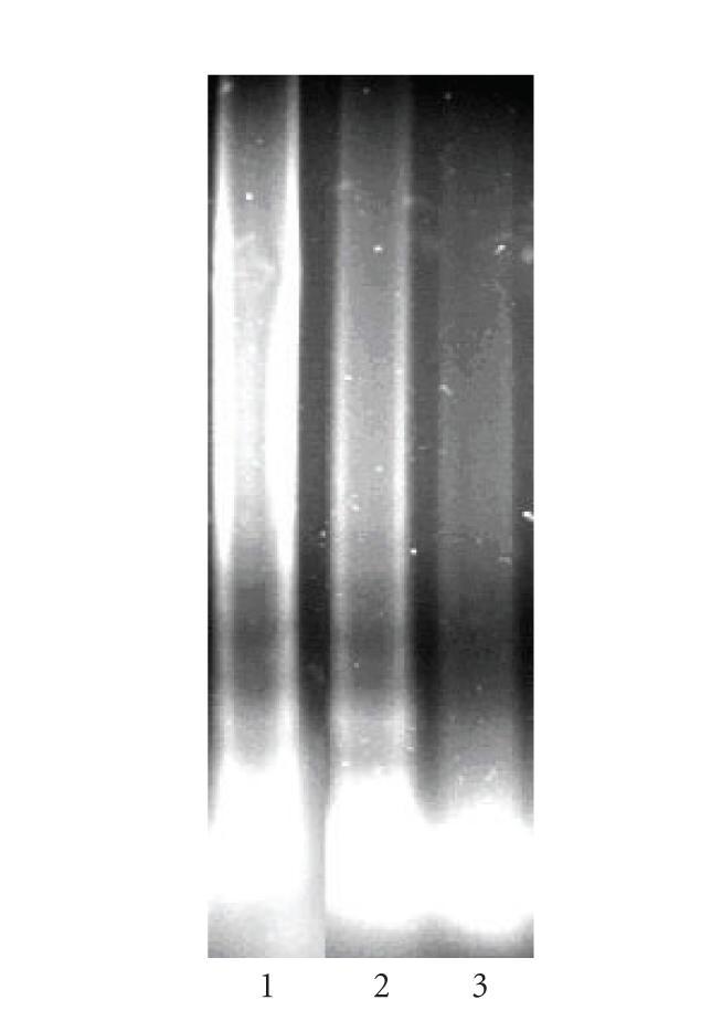 https://cdn.ncbi.nlm.nih.gov/pmc/blobs/dd10/2246075/70ecc9775e37/MBD2007-67376.005.jpg