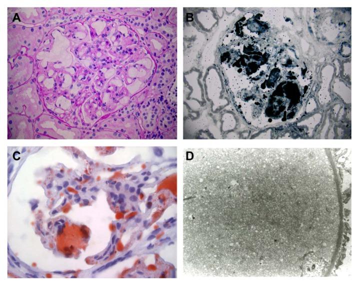 https://cdn.ncbi.nlm.nih.gov/pmc/blobs/dd10/3859823/01ece58790ff/ccrep-6-2013-189f2.jpg