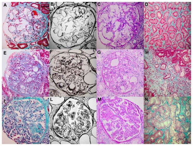 https://cdn.ncbi.nlm.nih.gov/pmc/blobs/dd10/3859823/2f02b6532abf/ccrep-6-2013-189f4.jpg